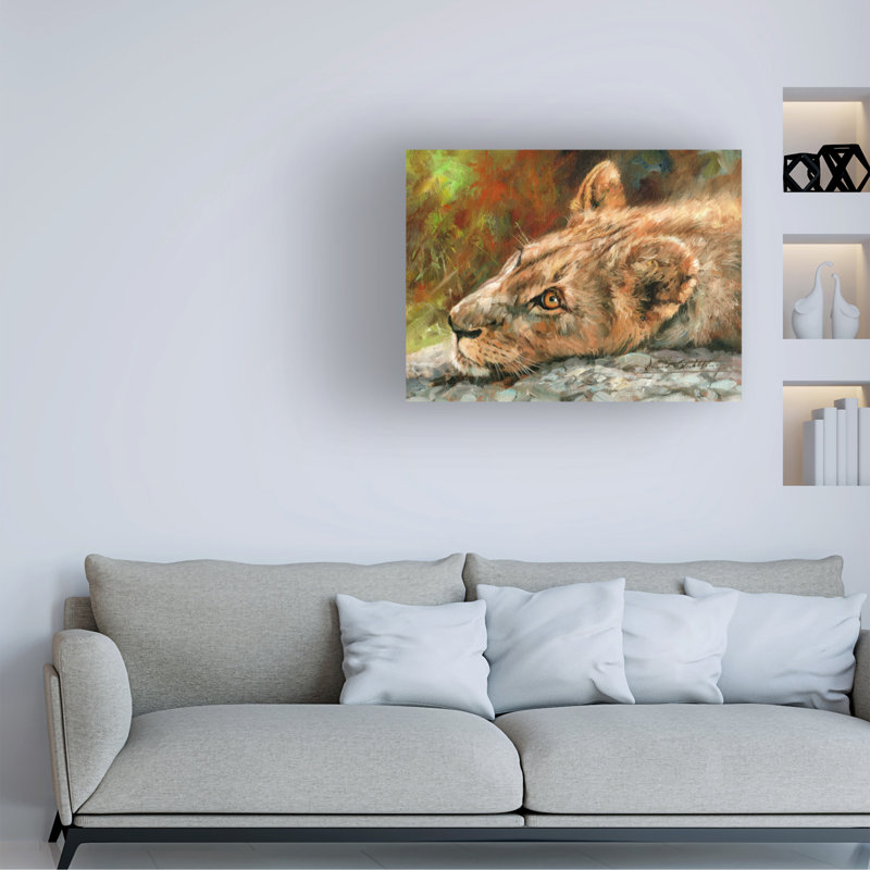 «David Stribble Lion Cub Laying Down», art sur toile, H 35 po x l 47 po