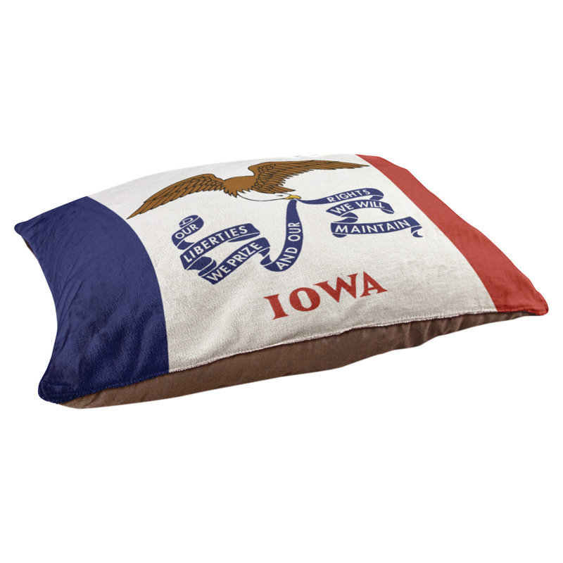Coussin stylisé iowa flag Burien, L 19,5 po x l 29,5 po, Marron foncé
