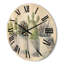 Horloge murale cactus et plantes grasses-63903205