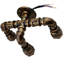 Averett Armed Sconce-1251787399