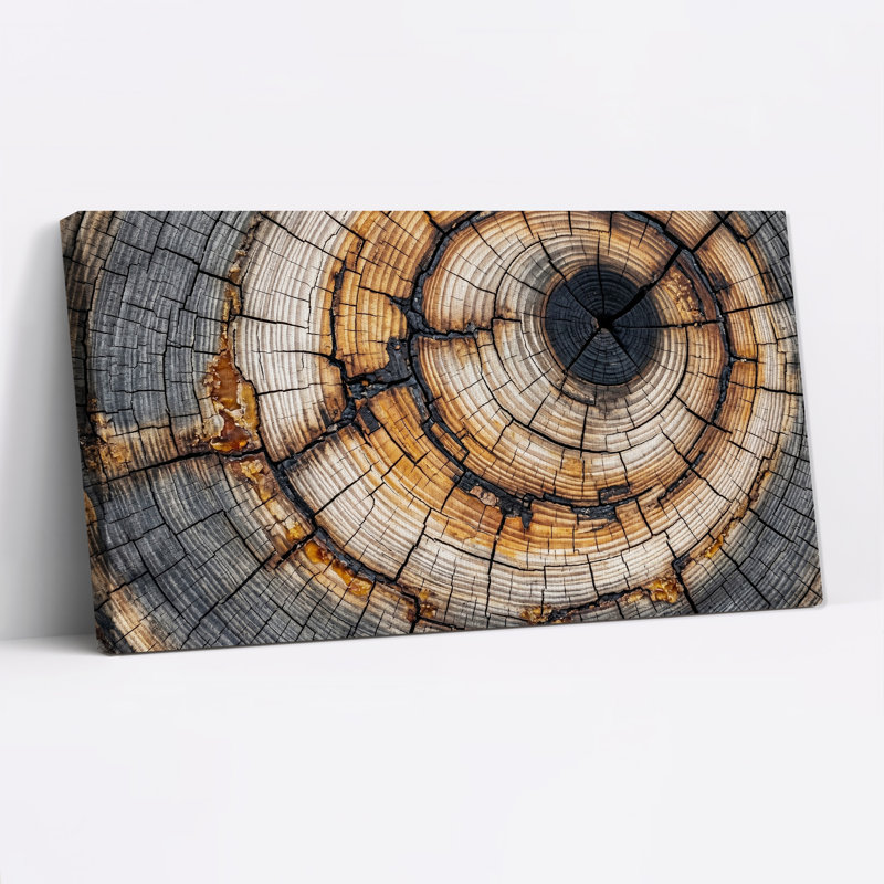 Art mural sur toile en forme de souche d'arbre patiné, 40“W x 20”H