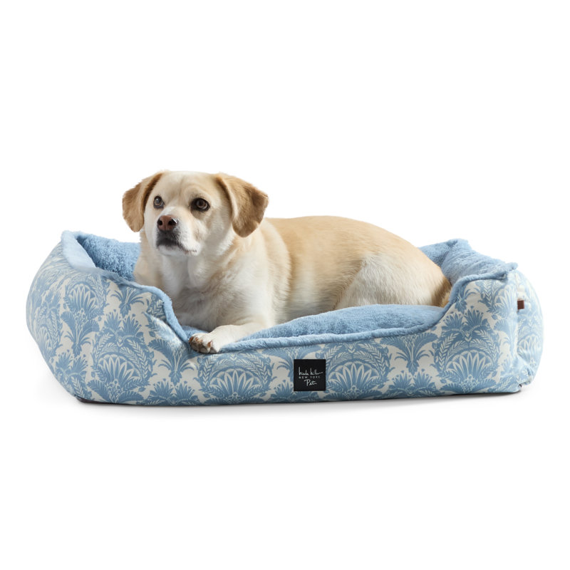 NICOLE MILLER New York Pet Lit pour animal de compagnie, Île Seymour Nord, Galapagos, H 6,3 po x l 5 po x P 18,5 po