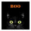 « boo halloween cat », reproduction d’impression sur toile