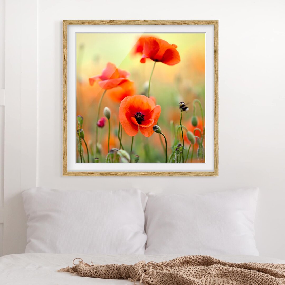 Gerahmter Fotodruck Red Summer Poppy