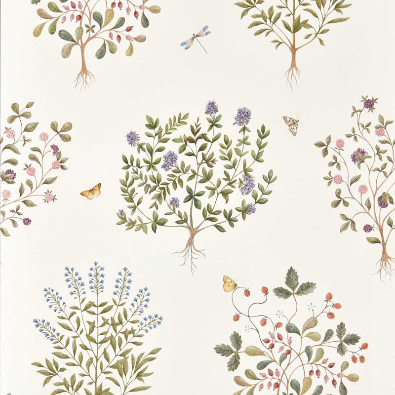 Highgrove Thyme Walk, Damson/Quince