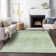 Leis Flatweave Washable Ombre Indoor / Outdoor Rug
