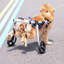 Fauteuil roulant 2 roues pour chien