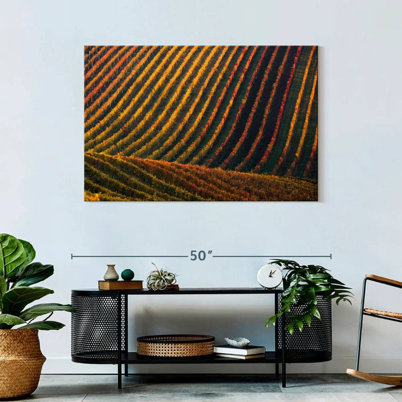 Alvord Vineyard Hill