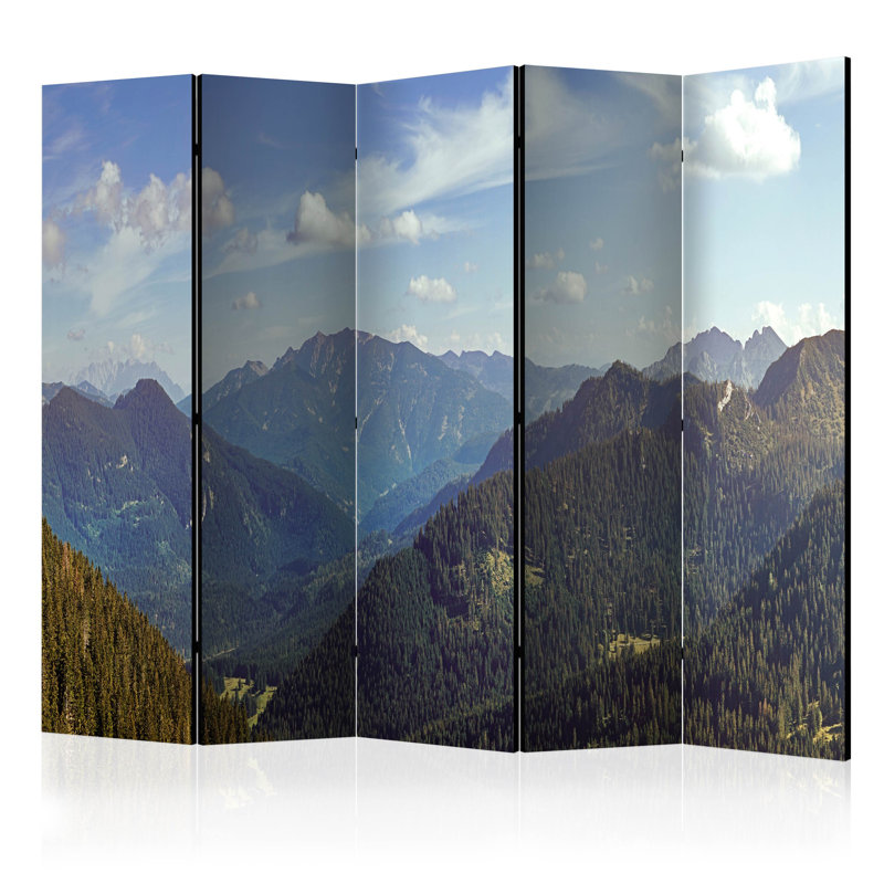 Chaney 225cm W x 172cm H 5 - Panel Solid Wood Folding Room Divider