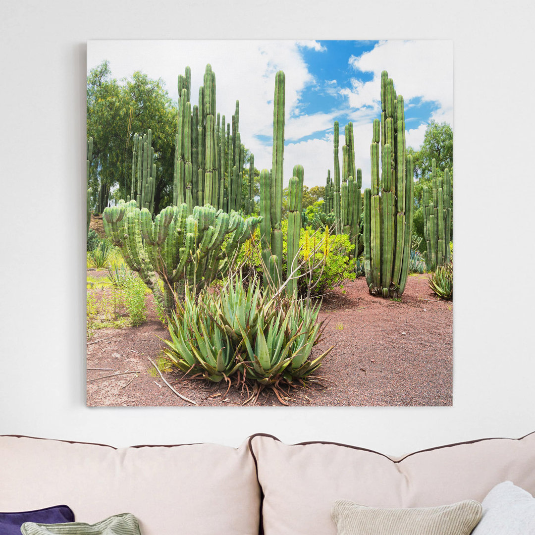 Leinwandbild Cactus Landscape