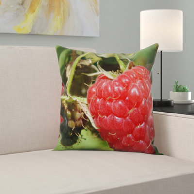 Coussin framboise