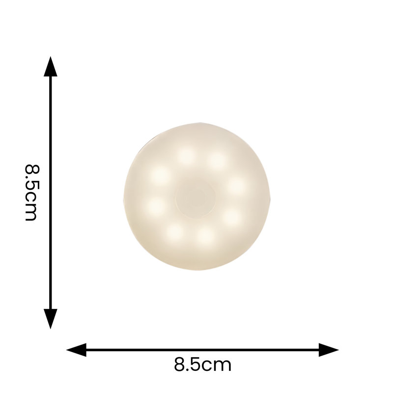 Standush Plastic LED Flush Mounted Sconce