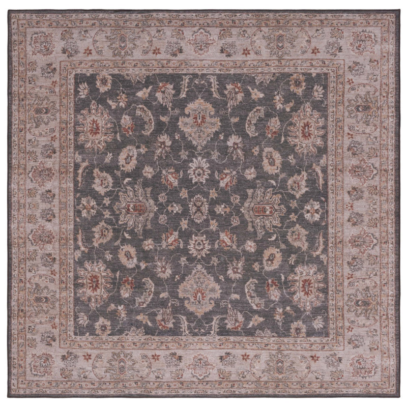 Tucson Performance Machine Washable Oriental Rug, Square 6'