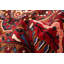 Tapis rouge Anadol 5 pi 3 po x 7 pi 5 po