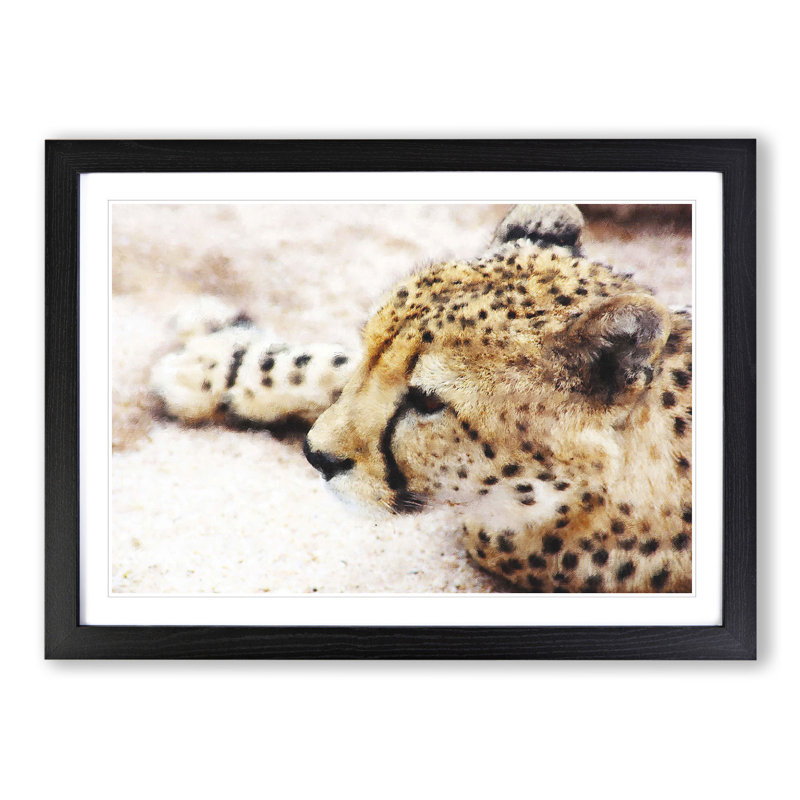 Cheetah Vol.1 - Framed Print, 27cm H x 36cm W x 2cm D, Black Framed