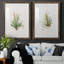 Gardenaire I - Ensemble de 2 peintures-450448133-450448134