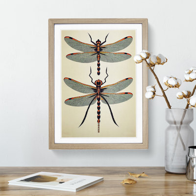 Classic Dragonflies - Wall Art
