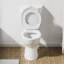 Toilette monobloc à fixation au sol allongée à hauteur de fauteuil de 1,28 GPF SUPERFLO (siège inclus)