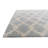 Odenton Light Gray Rug