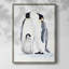 «Emperor Penguins II», reproduction encadrée - bois massif