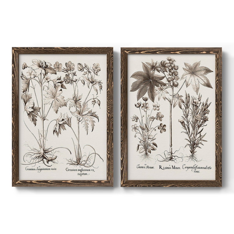 Toile encadrée sépia Besler Botanicals V-Premium - prête à être accrochée