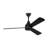 Ceiling Fan with LED Lights-211481074-220343687