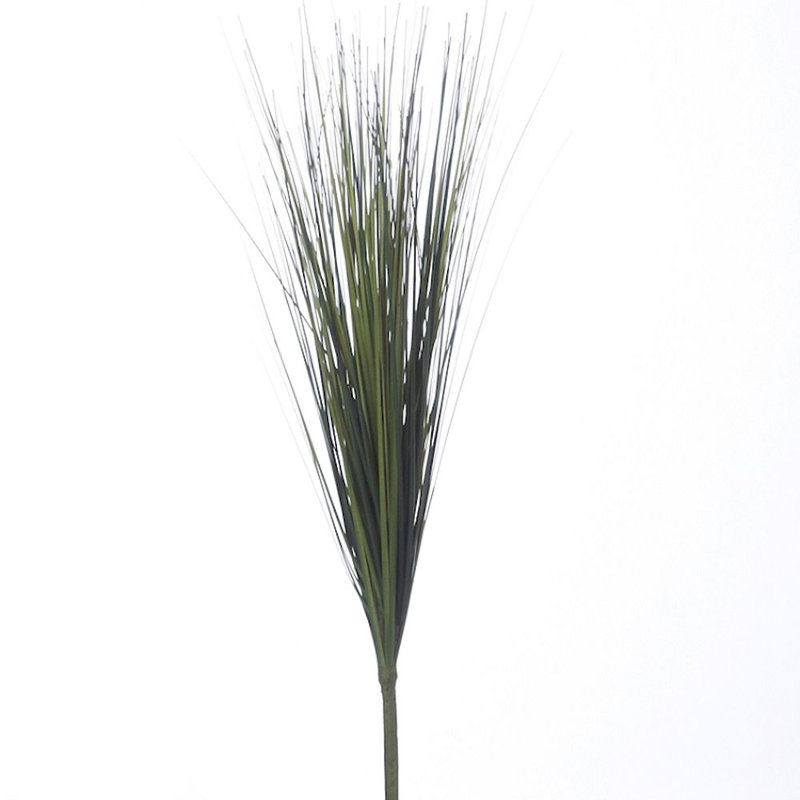 Jet d’herbe