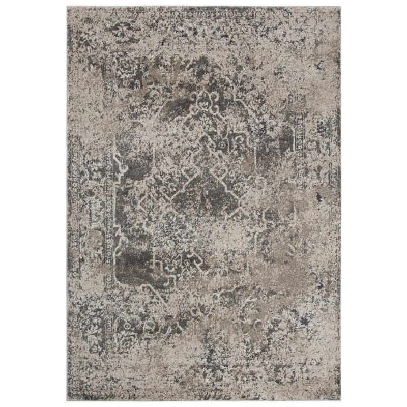 Barger Abstract Indoor Rug, Rectangle 3'11" x 5'6"