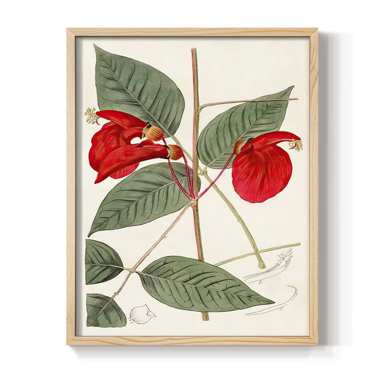 FloraOfTheTropicsII Framed Print - Solid Wood