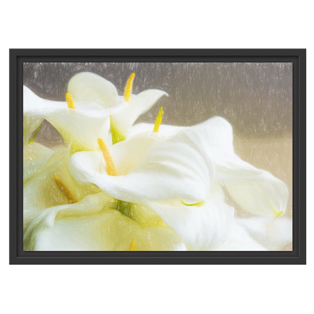 Gerahmtes Poster Beautiful White Calla Lilies