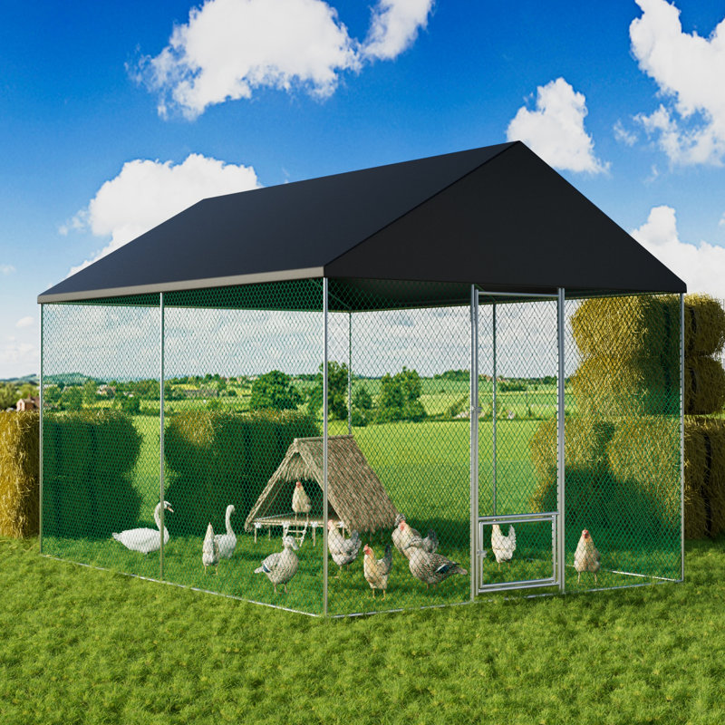 Snellville Chicken Run, 270cm H x 300cm W x 400cm D