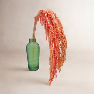 Modern Art Preserved Amaranth Stems