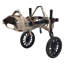 Fauteuil roulant pour chien