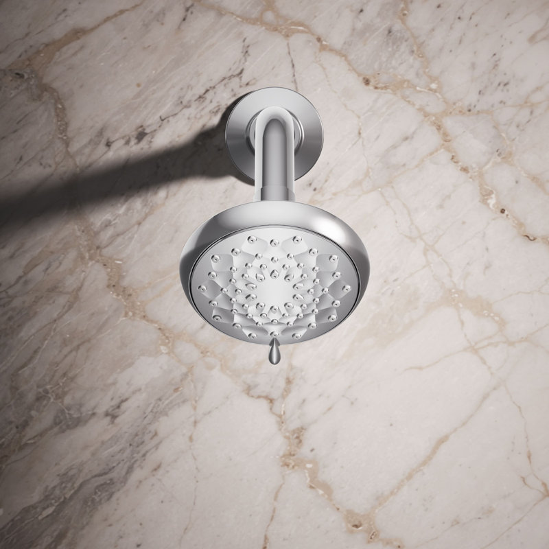 Awaken B90 Three-Function Showerhead 2.5 Gpm, Polished Chrome