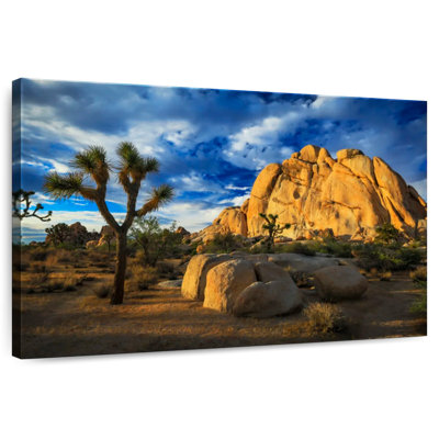 Nicci Joshua Tree Park Old Woman Rock