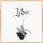 Orchid Study 2 Print by Simon Schneiderman-1714141559-1714141556