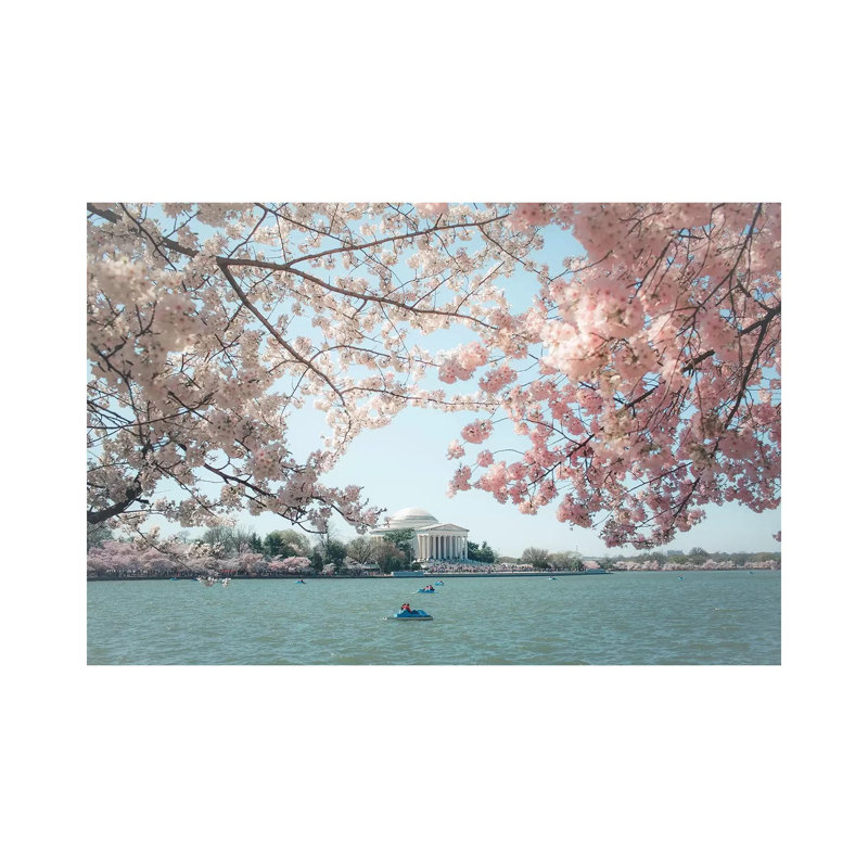 «Washington DC Cherry Blossoms» par Ann Hudec, reproduction de photo sur toile tendue, H 12 po x l 18 po x 1,5 po
