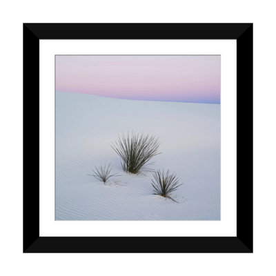 Reproduction de photo sur toile tendue, "soaptree yucca i, sables national de, new mexico, usa" par images panoramiques