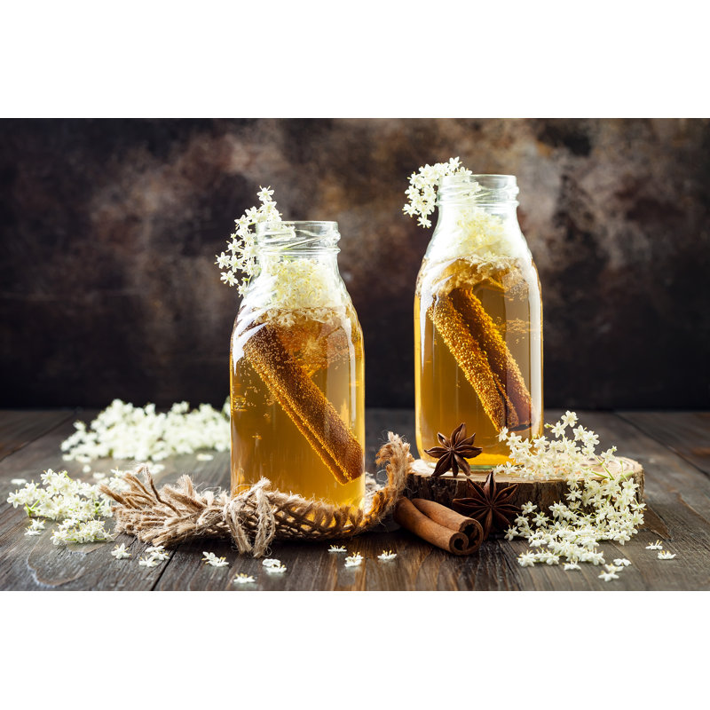 Kombucha - Wrapped Canvas Print, 30cm H x 46cm W x 3.8cm D
