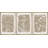 Simple Rustic Botanical Floral Vintage Wildflower Pictures Framed On Canvas 3 Pieces Print Wall Art-91874992-91874993