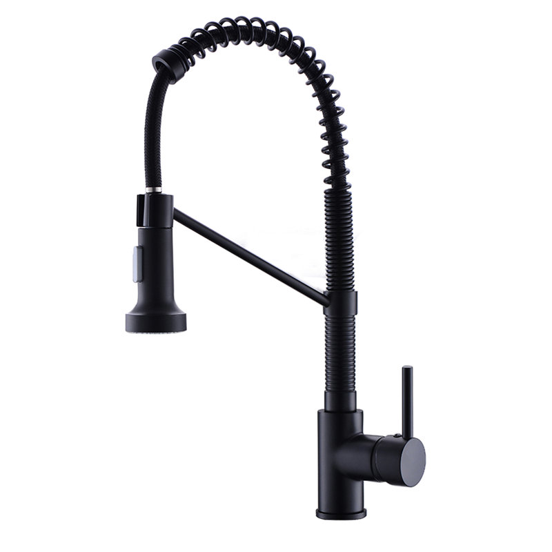 Robinet d'évier de cuisine contemporain, noir, douchette extractible, laiton, monotrou, robinet de mélange à poignée chaude et froide à débit d'eau réglable
