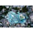 Dajonna Indoor 20 - Bulb 78.72'' Plug-in LED Fairy String Light-1090100311