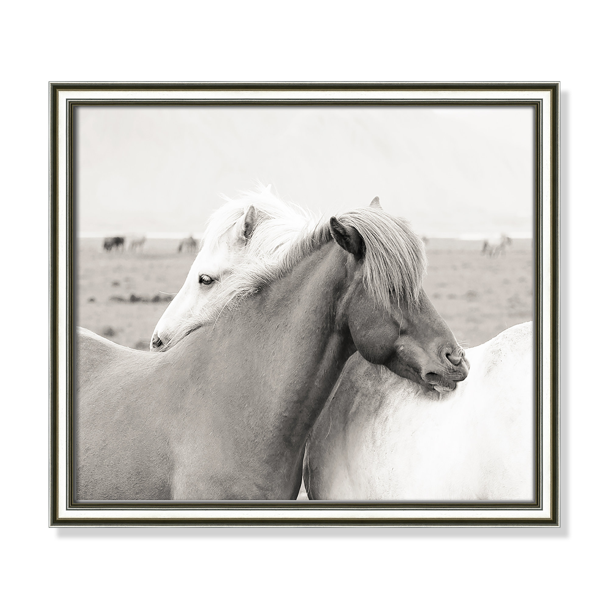 Icelandic Meadow Horses by Danita Delimont - Picture Frame Photograph on Paper, 14.25" H x 16.25" W x 0.88" D, Silver Framed