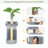 Braidyn-Drew 59'' H Cat Tree-112534148