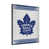 Toronto Maple Leafs