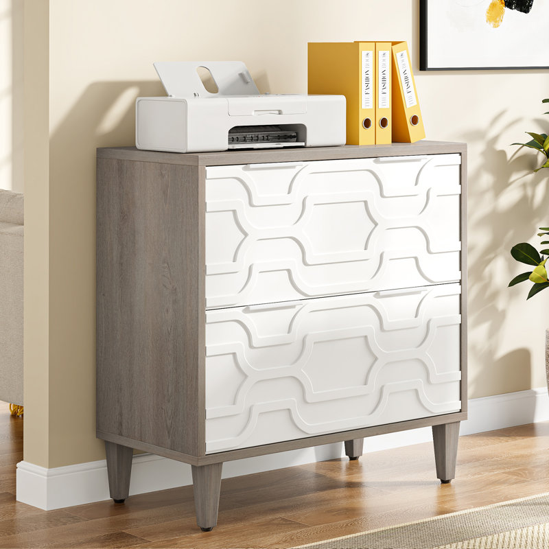 Derrin 31.5'' Wide 2 -Drawer File Cabinet, Gray/White
