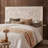 Meynard Kids-1368526646