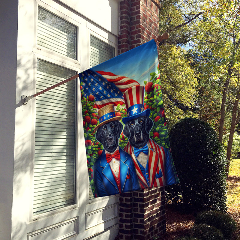 Drapeau «All American House», Retriever à poil plat