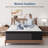 14'' Medium-Firm Hybrid Mattress with Memory Foam & Pocket Springs, Mattress in a Box-2068194850-2068576133
