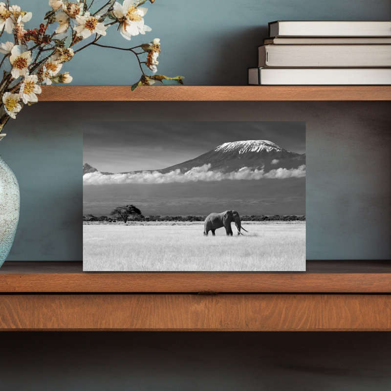 Print, 30.48cm H x 45.72cm W